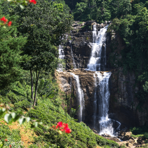 travel-sri-lanka